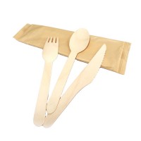 Personal color printed birch wooden eco disposable individual cutlery